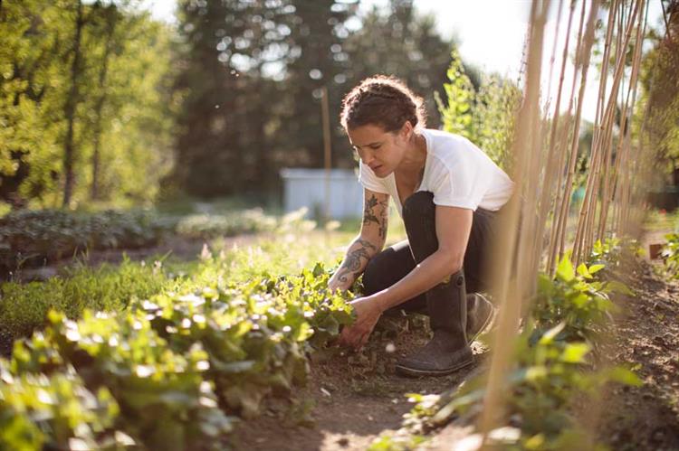 Careers & Training | Horticulture Week