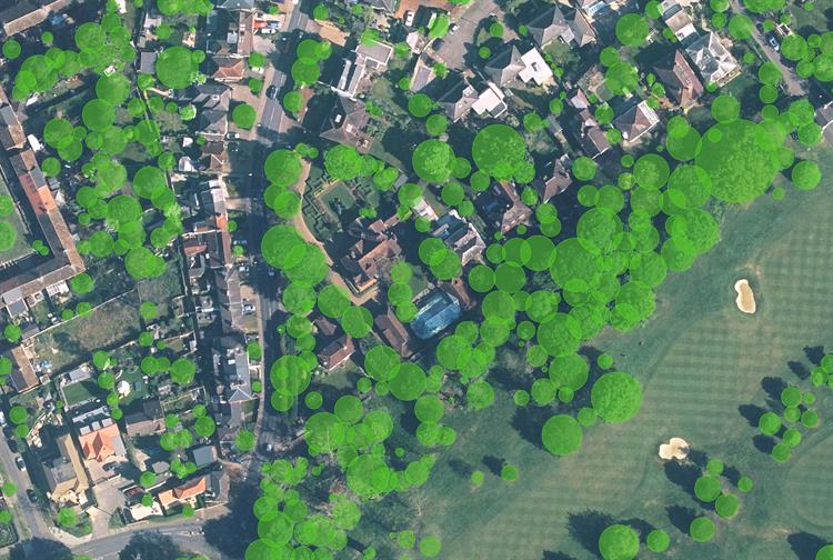 Bluesky and Rightmove data reveal how trees cover London’s most