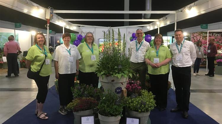 Bransford Webbs Plant Company celebrates awards | HortWeek