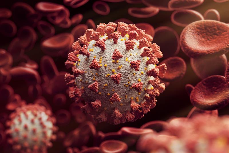 Coronavirus (Photo: Radoslav Zilinsky/Getty Images)