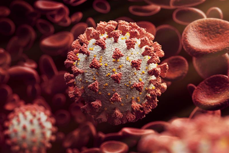 Coronavirus vaccine plans (Photo: Radoslav Zilinsky/Getty Images)