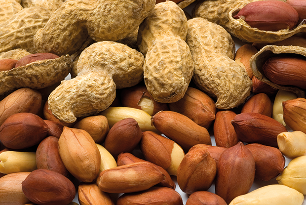 Early introduction of allergenic foods, such as peanuts, may be appropriate for some infants