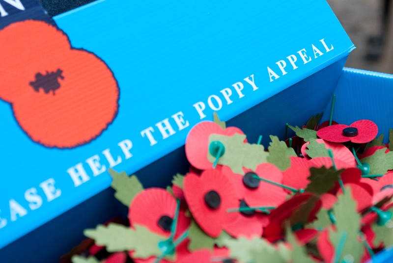 Poppy appeal: GP's single will raise funding