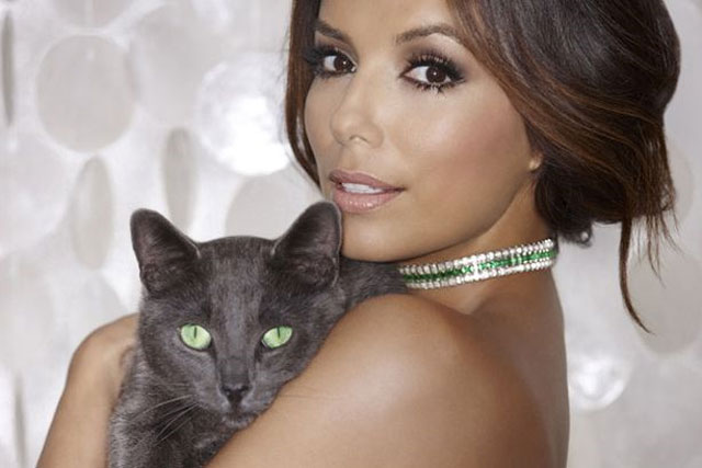 sheba eva longoria