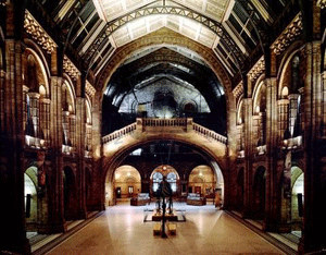 Natural History Museum to star in BBC documentary