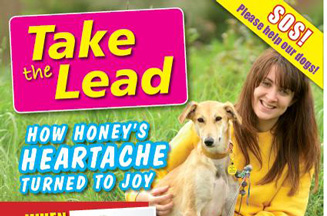 dogs trust honey