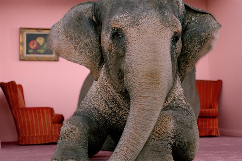 What we can learn from an elephant - Vimarsana News