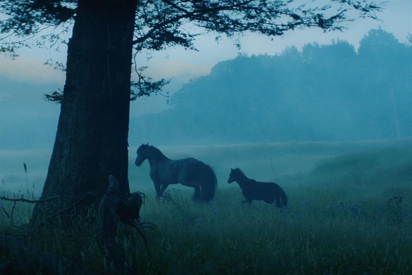 Black Horse Returns For Lloyds Bank S First Inter Generational Story
