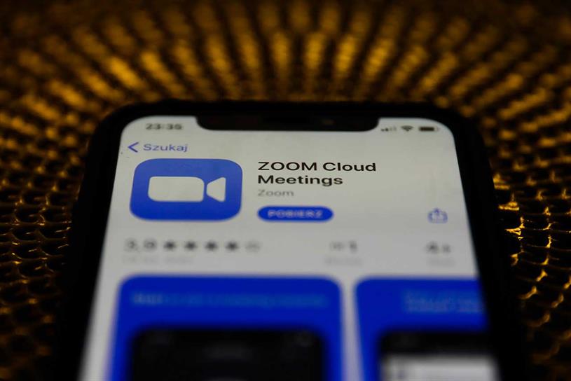 Zoom: board comprises experts from companies including HSBC and NTT Data