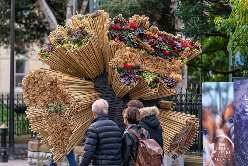 c Creates Biodiversity Installation To Launch Natural History Series