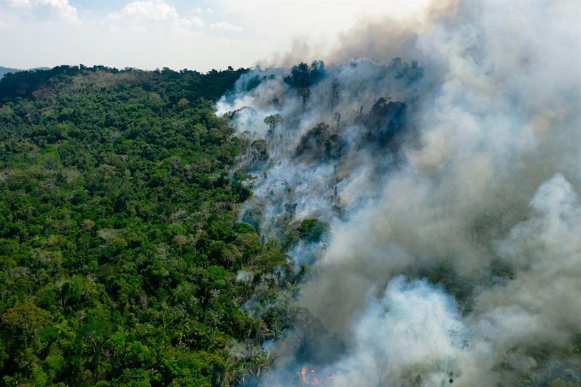 Amazon rainforest: fire in the Brazilian state of Para last August (Photo: Florian Plaucheur/Getty Images)