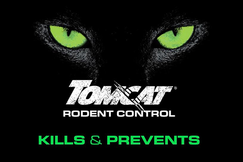 Traps control Rodents Effectively, Tomcat