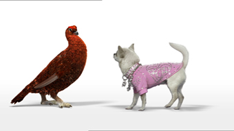 Famous Grouse 'diamante dog' by AMV BBDO