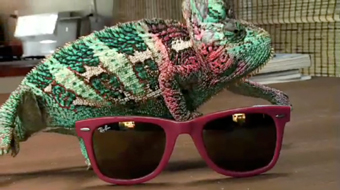 Ray-Ban...featuring a clever chameleon