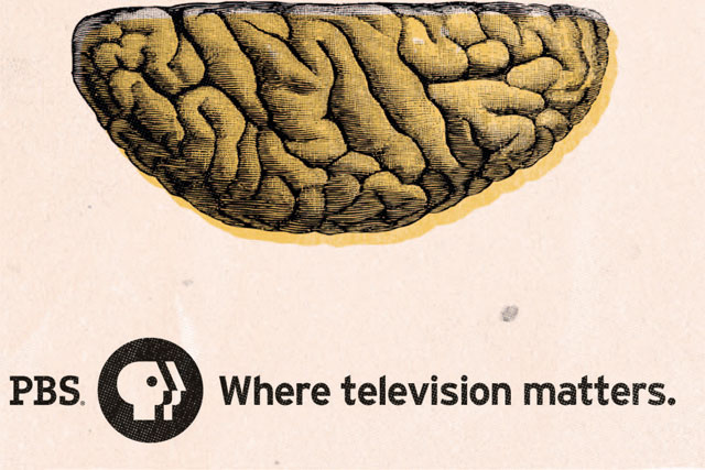 PBS 'where television matters' by Hypernaked