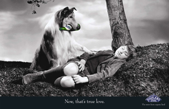 Lassie ... returns in Highland Spring ad