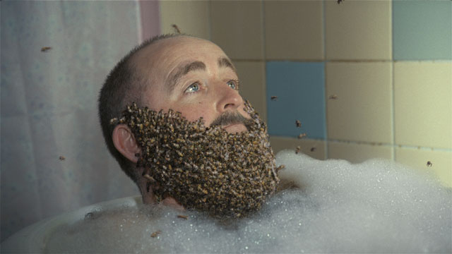 Magners 'bees' by The Red Brick Road