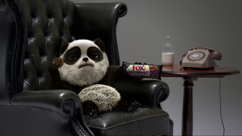 Fox's Biscuits 'ultimatum' by Mother
