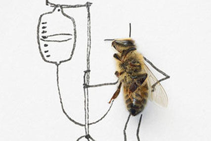 Mayor of London 'capital bees' by Lida