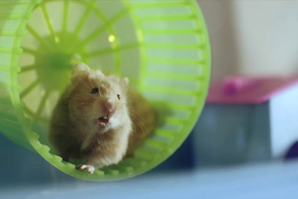 Weetabix 'happy breakfast' by WCRS