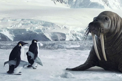 Argos ‘walrus’ by CHI & Partners