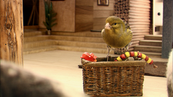 Robinsons... new TV spot