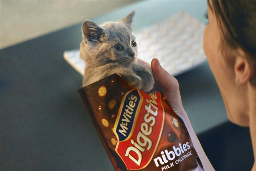 Mcvities shop cat advert