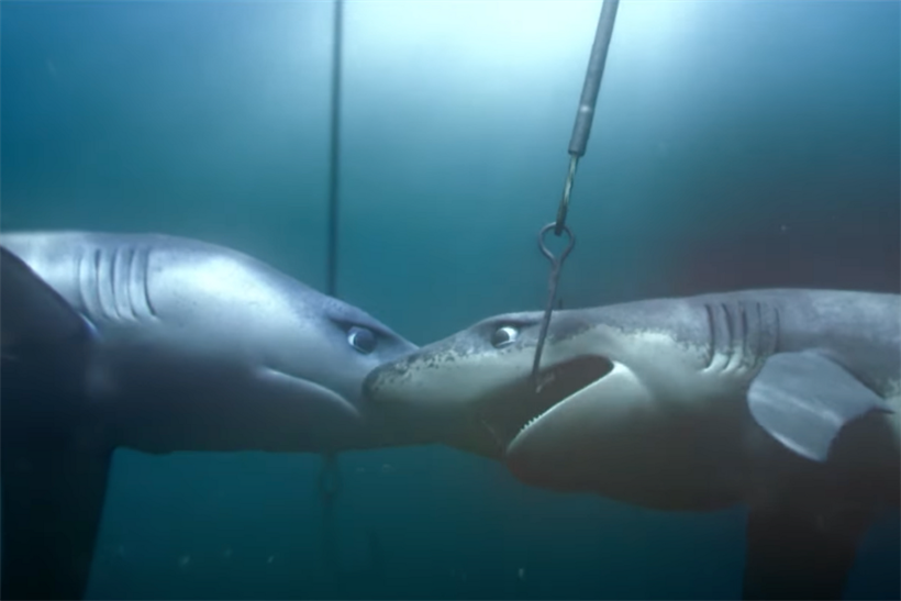 An animated shark comforts another shark that has been caught by a fishing line 