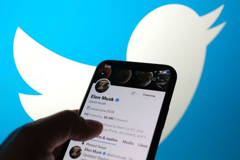 Hand holding smart phone with Twitter app on Elon Musk's profile page