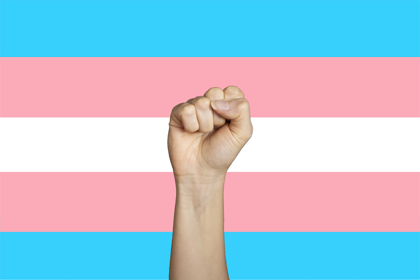 Fist raised in solidarity in front of trans pride flag