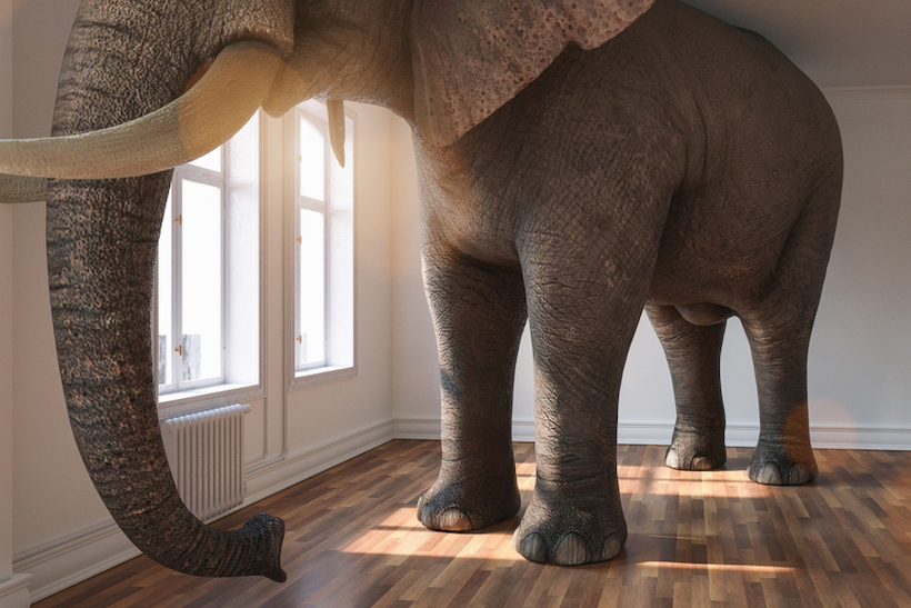 CGI render of an elephant in the room concept