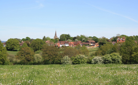 Countryside: studies argue that rural areas should benefit from local planning decisions as these will look to maximise green gains