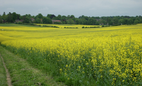 Barton Farm: housing plans rejected as risk to bottom up planning strategy