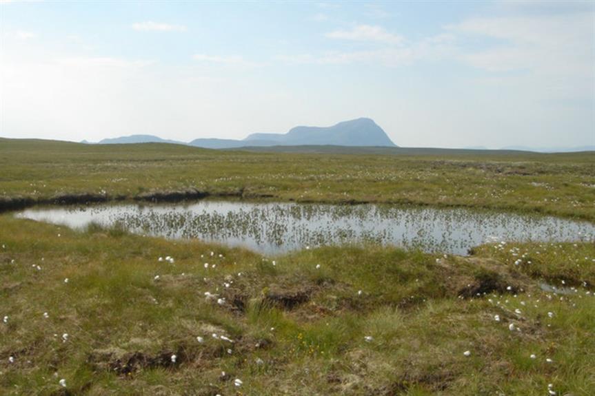 The A’ Mhòine peatlands - image: geograph / David Glass (CC BY-SA 2.0)