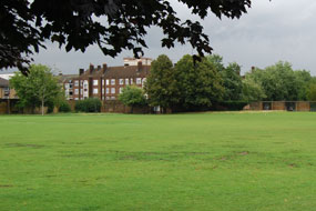 Green spaces: can help mitigate climate change impact
