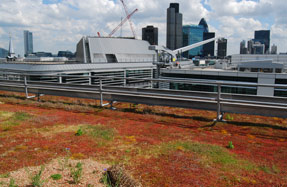 Green roofs: partnership aims to see more created
