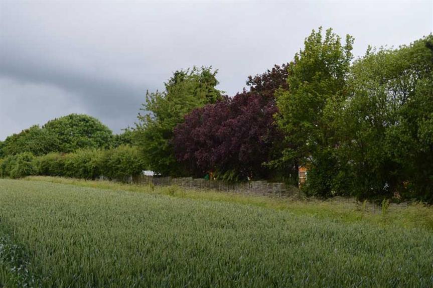 200-009-690 (Image Credit: Phase 2 Planning & Development Ltd)