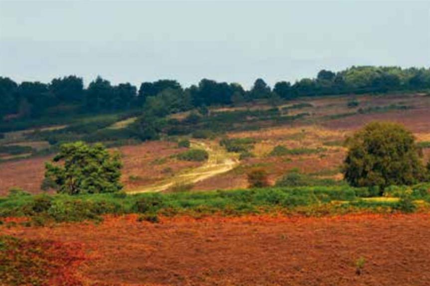 European sites: experts say habitats assessment judgement could stall progress on neighbourhood plans