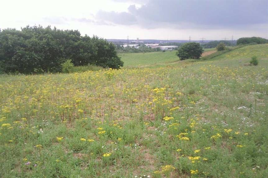 Part of the application site for the 650-home scheme (pic: cc-by-sa/2.0 - © Marathon - geograph.org.uk/p/2030008)