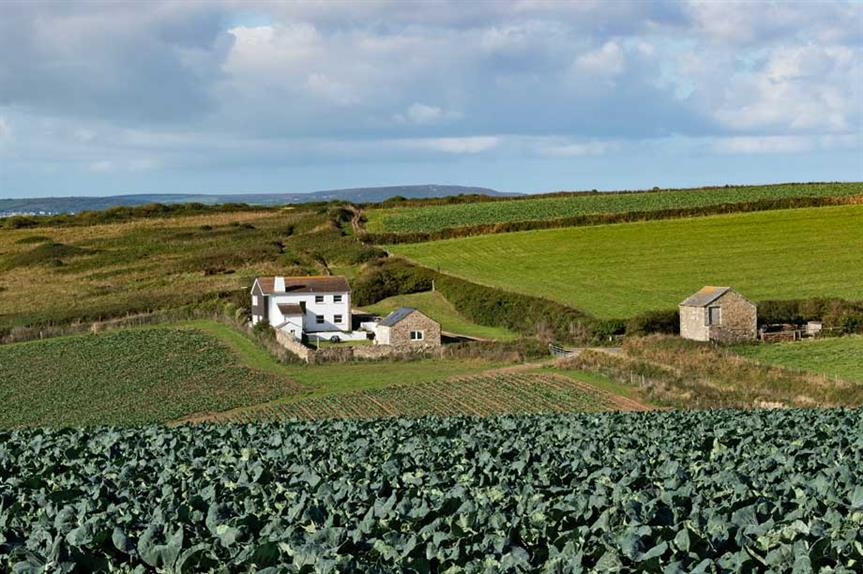 The Cornish countryside (Pic: Getty)