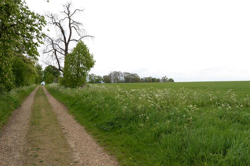 Green belt