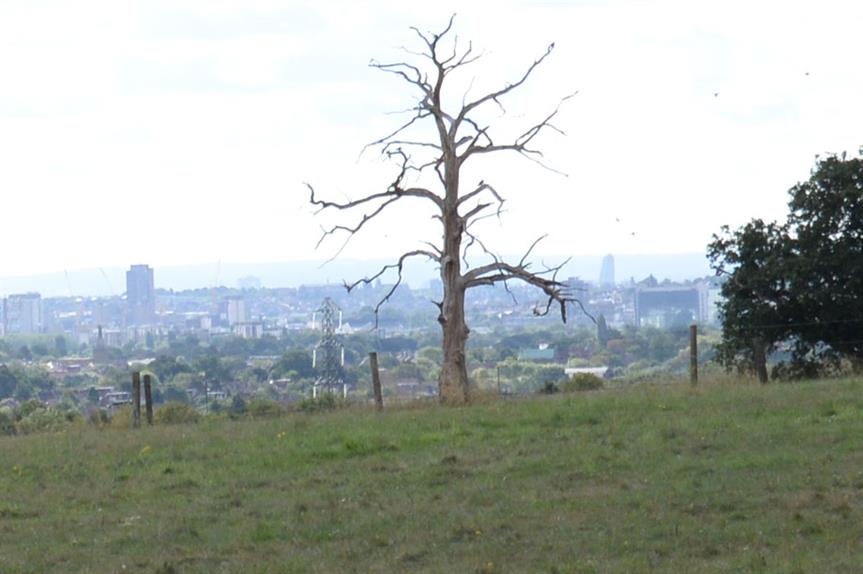 London green belt: Report calls for review