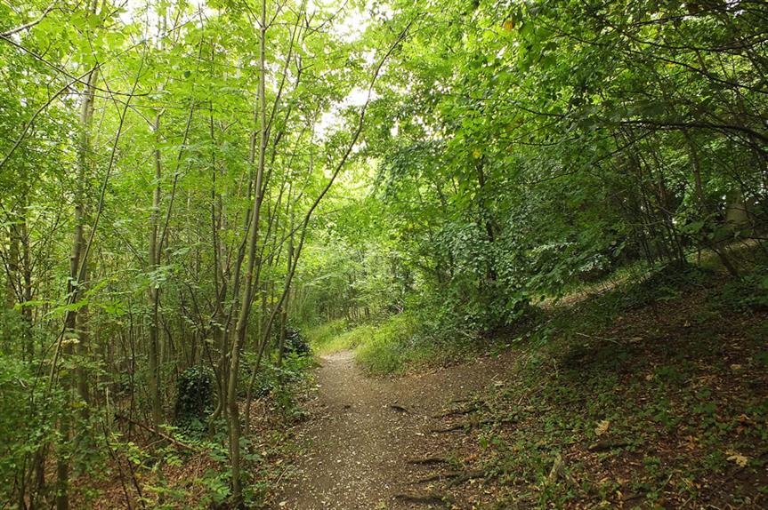 Protected habitats: no NPPF update in wake of EU court ruling