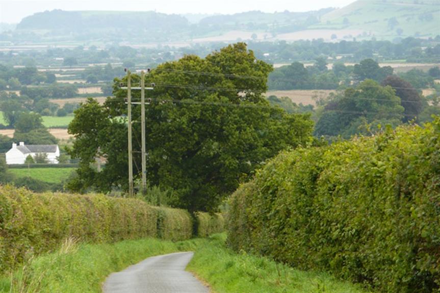 Primrose Lane, Yeovil (pic: Steve Barnes, Geograph)
