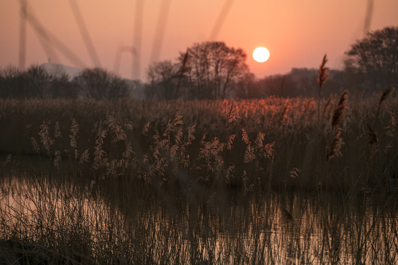 The Somerset Levels - image: Getty