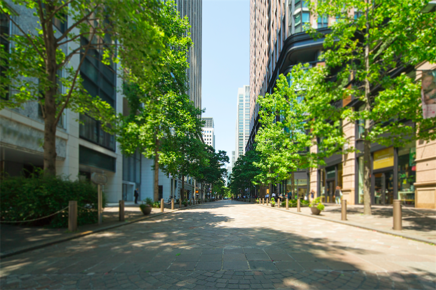 Plan policies must make sure that all new streets are tree-lined (Pic: Getty)