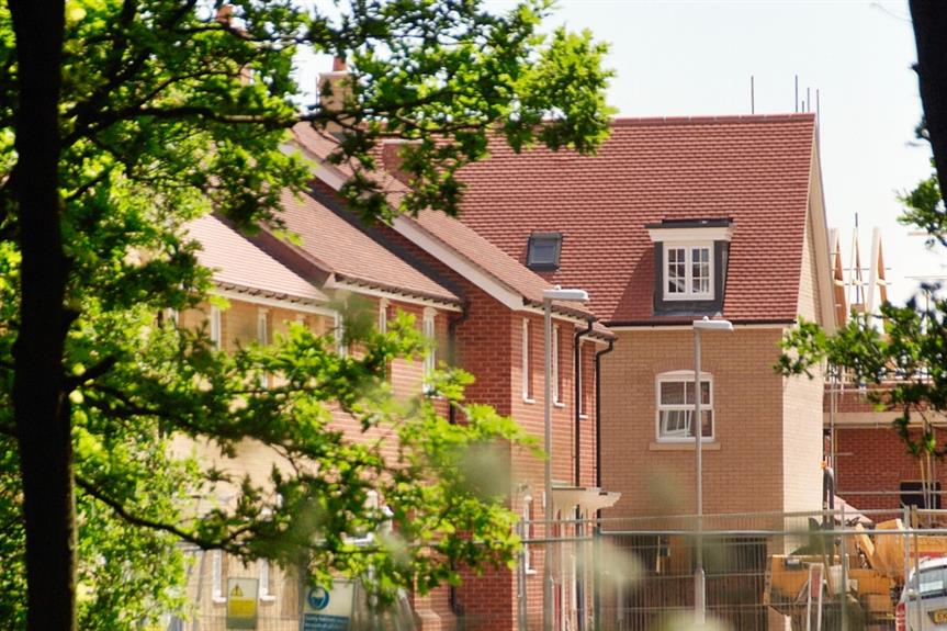 Trees retained around a new housing development – image: Getty
