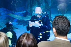 Sea Life London Aquarium hosted the C&IT Agency Forum