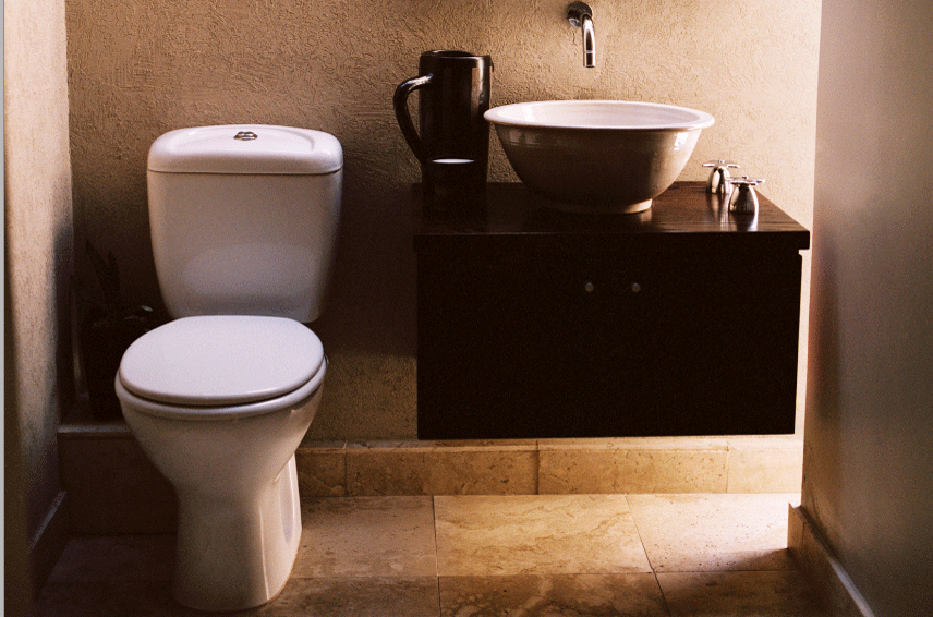 Durban wins bid to host Toilet Summit