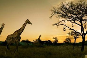 South Africa hosts 123 buyers at Meetings Africa